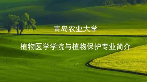 太阳成tyc7111cc植物保护专业介绍